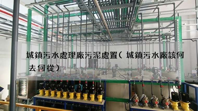 城鎮污水處理廠污泥處置(城鎮污水廠該何去何從)
